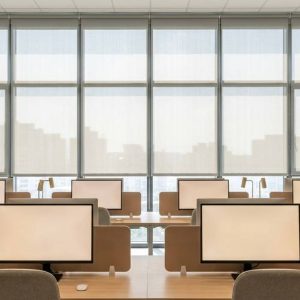 Open-plan office with rows of desks, beige partitions, and computer monitors, flanked by potted plants and large windows showing a city skyline.
